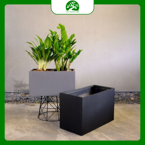 chậu trồng cây bê tông đen trắng