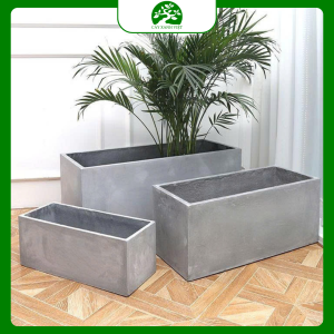 Chậu trồng cây