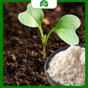 Phân bón- thuốc trừ sâu