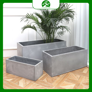 chậu bê tông trồng cây
