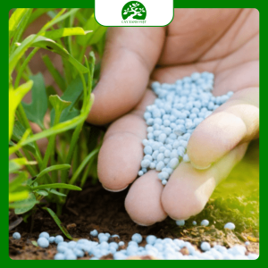 Phân bón vi sinh GreenBio Plus