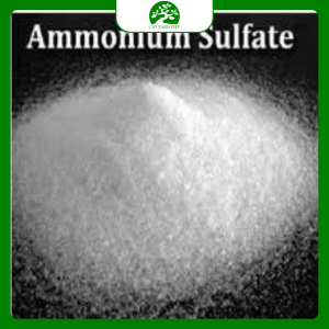 Phân bón Ammonium Sulphate (SA)